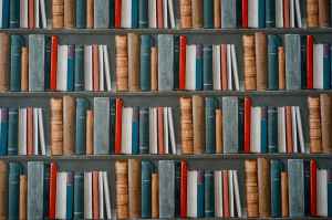 books on bookshelves